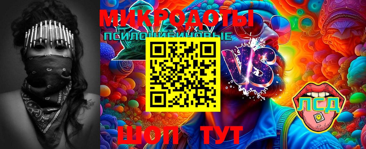 Галлюциногенные грибы мицелий  где найти наркотики  Вход с VPN  Костомукша  Галлюциногенные грибы Psilocybe 